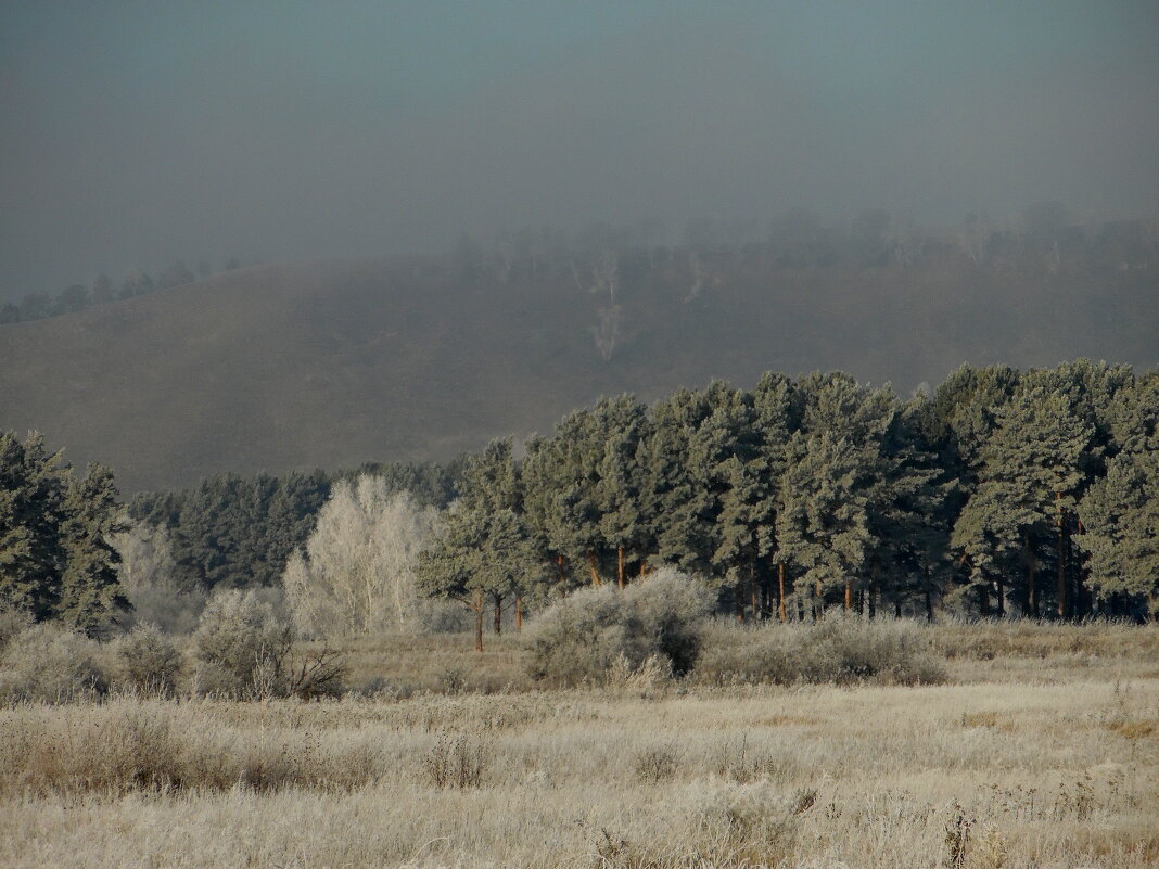 Морозное утро. - nadyasilyuk Вознюк
