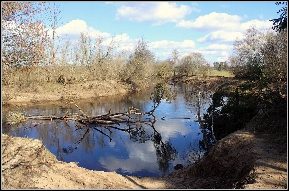 **** - Aleksandr Gal