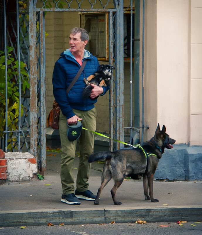 Три мнения - Elias69 