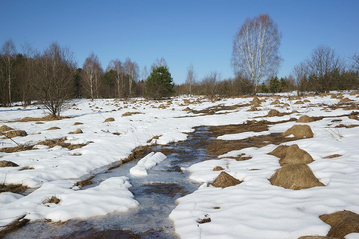 Март в долине Протвы - Сергей Курников Март в долине Протвы - Сергей Курников