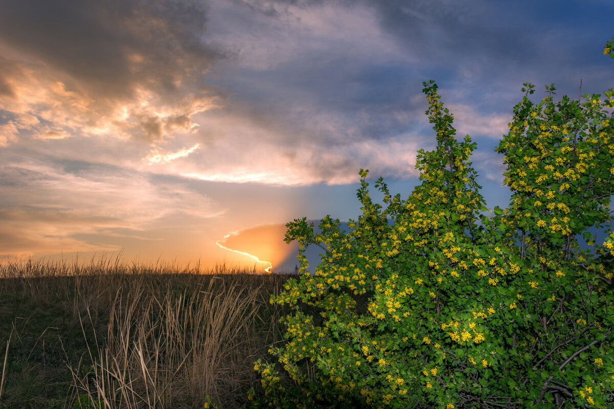 Вечерняя тишина - Наталья Димова