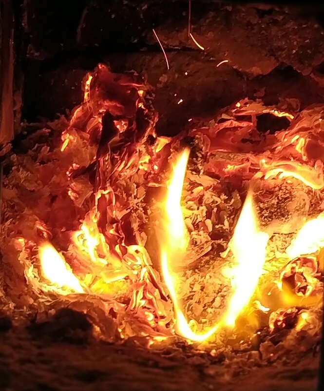 Рождение дракона - Тамара Лисицына