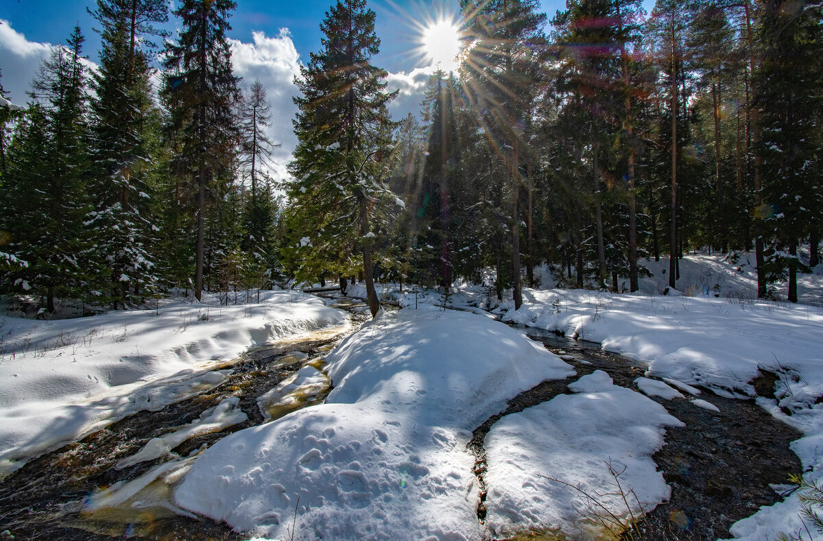 Островок - Vladimbormotov 