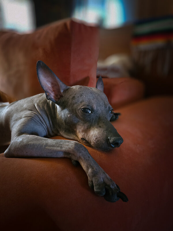 Когда в душе ты модель - Григорий Иванов