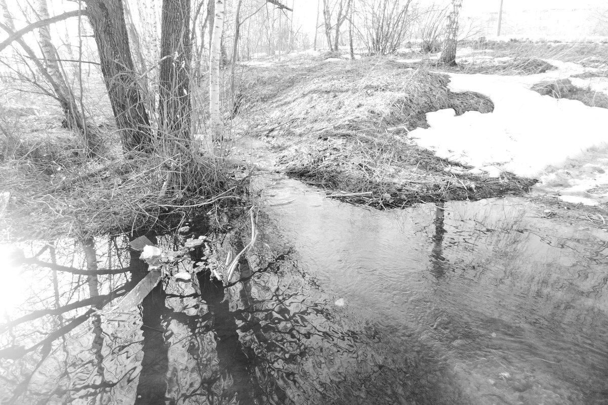 Мечты о ч/б Лейке 78. - Михаил Елочкин