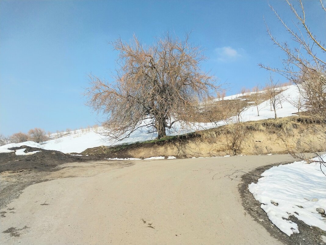 Ак Булак.  Талгар. - Murat Bukaev 