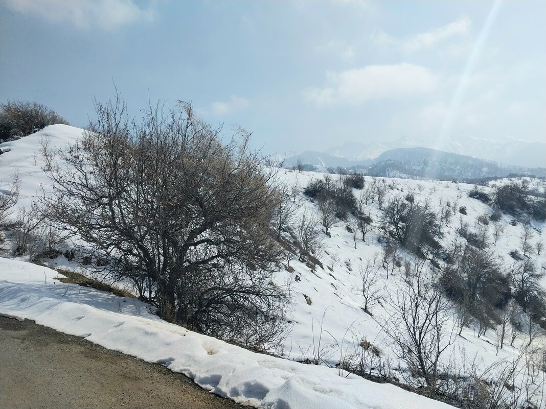 Ак Булак. Талгар. - Murat Bukaev 