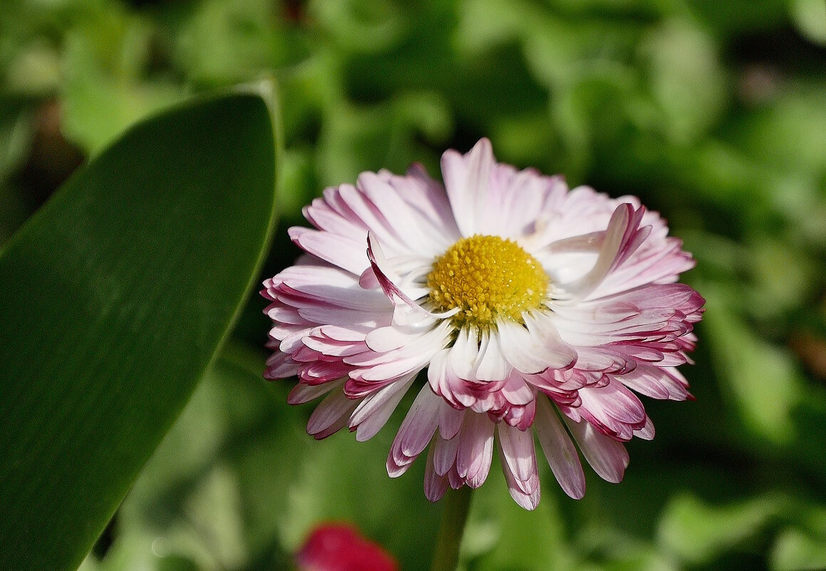 Зарисовка. - Alexey YakovLev