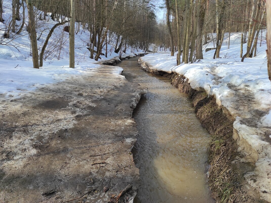 Половодье - Игорь Ч. Половодье - Игорь Ч.