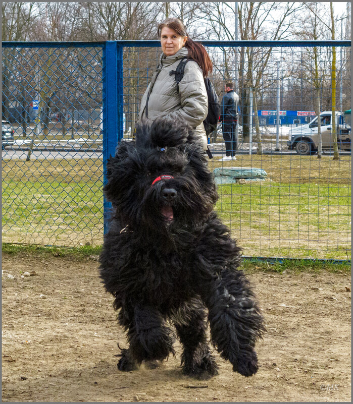 Любимая жена и её телохранитель. - Михаил Кобзев Любимая жена и её телохранитель. - Михаил Кобзев
