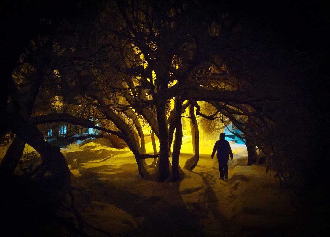 Чистый, белый снег - Александр Лебедев