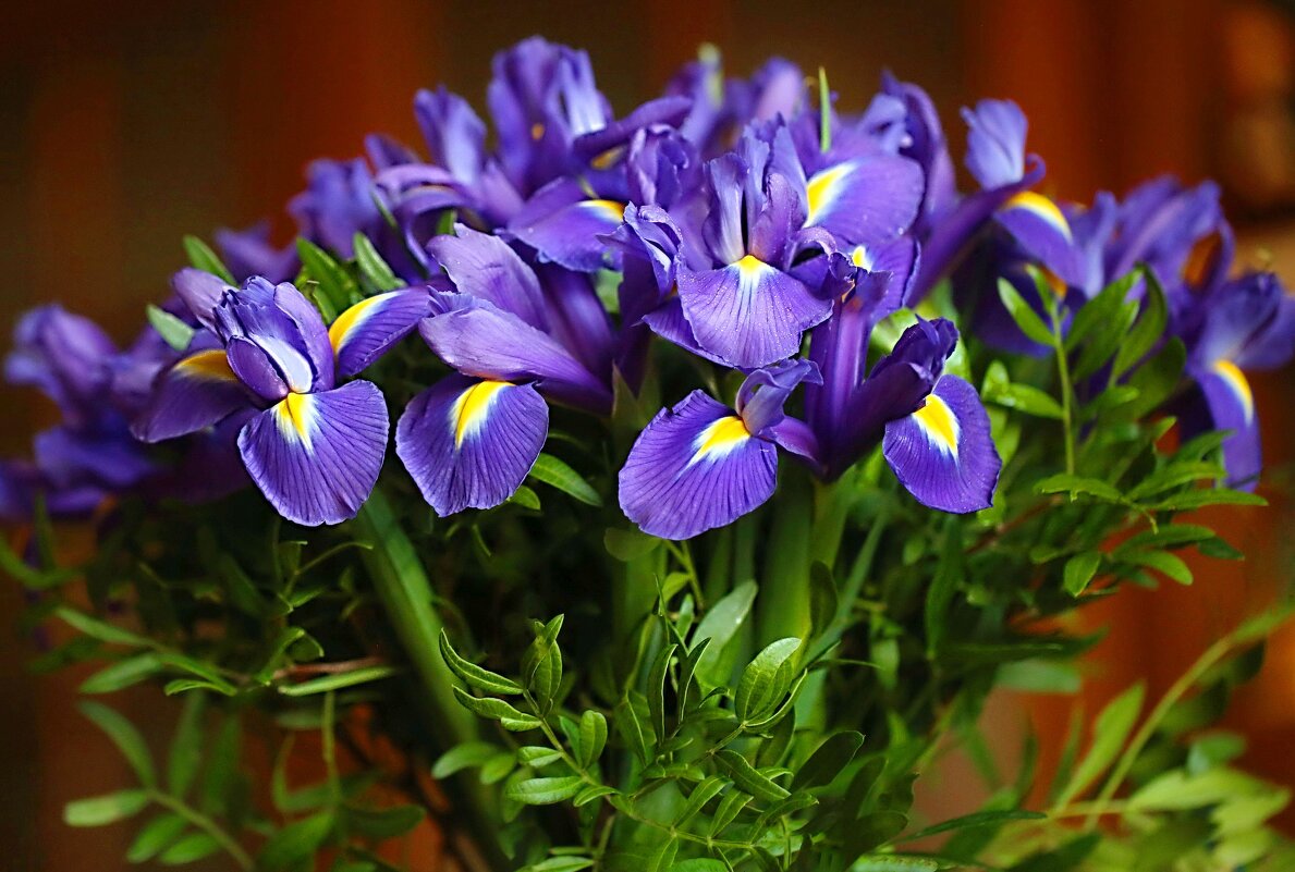 Букет в подарок - ZNatasha -