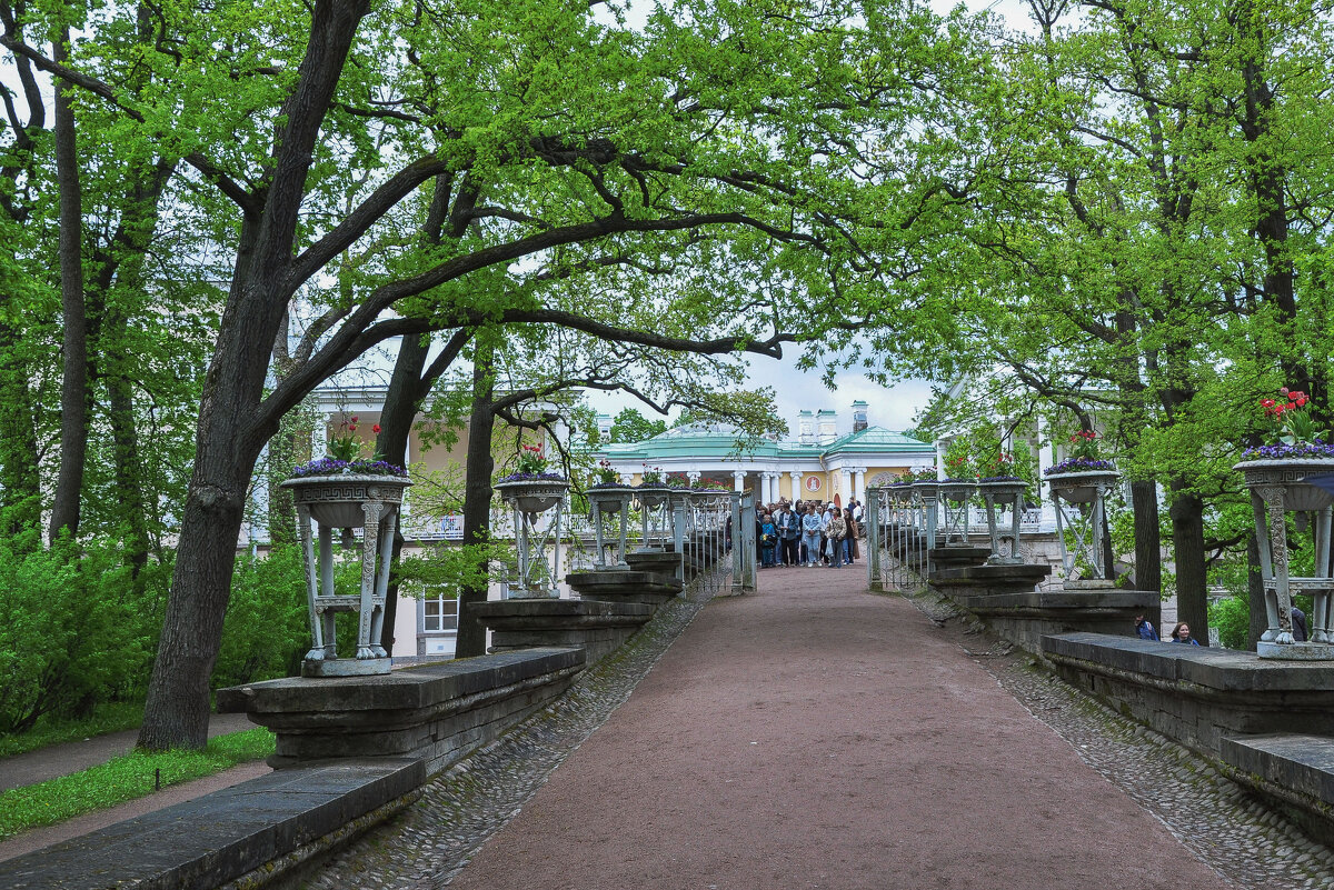 Подъём по пандусу к Висячим садам - Татьяна Машошина