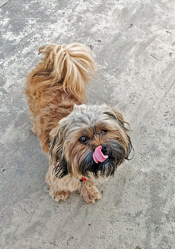 Хочу вкусненького! - Валентина  Нефёдова 