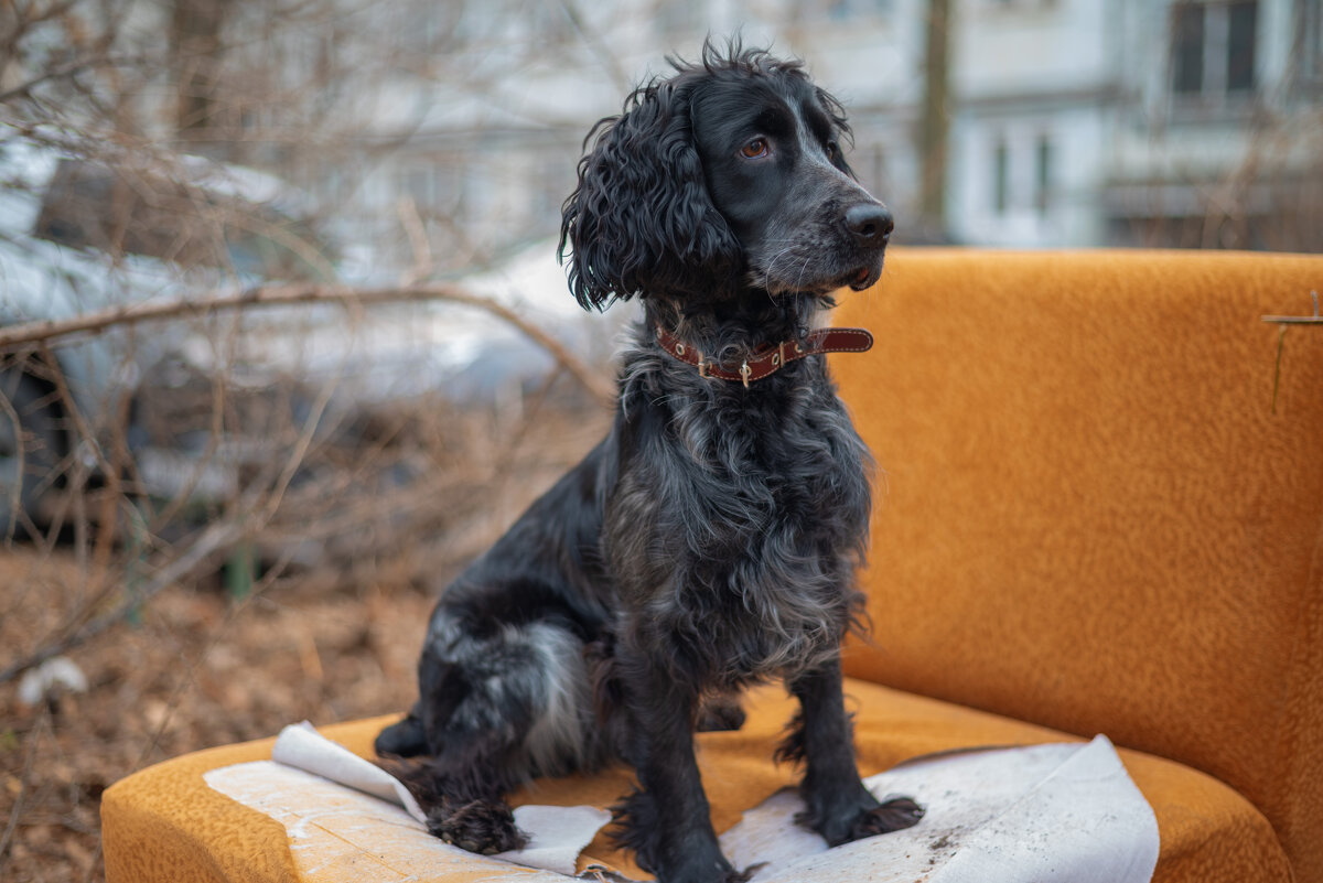 Джек - Вячеслав Дроздов