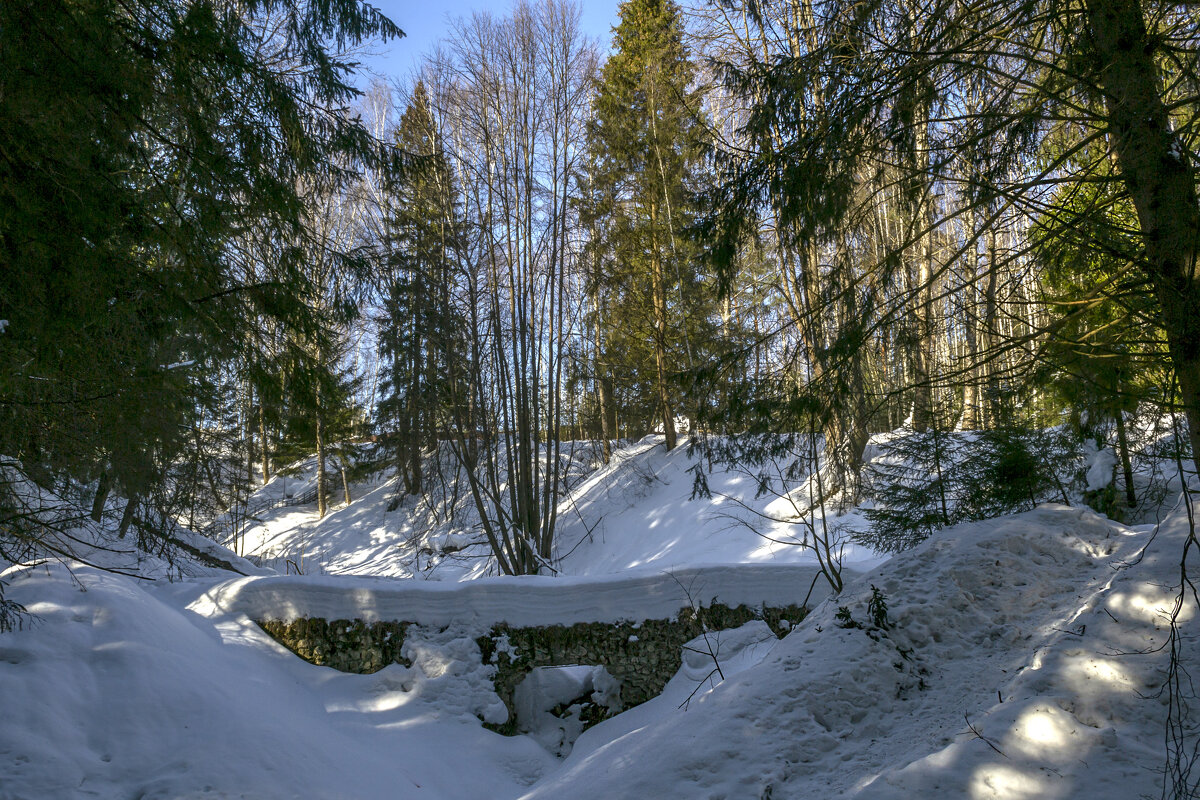 Март. Солнечный день - Сергей Цветков