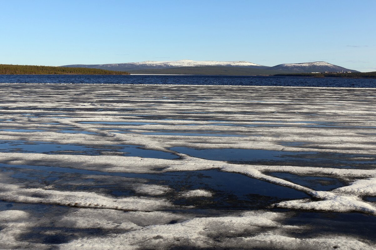 Весенняя геометрия - Ольга Весенняя геометрия - Ольга