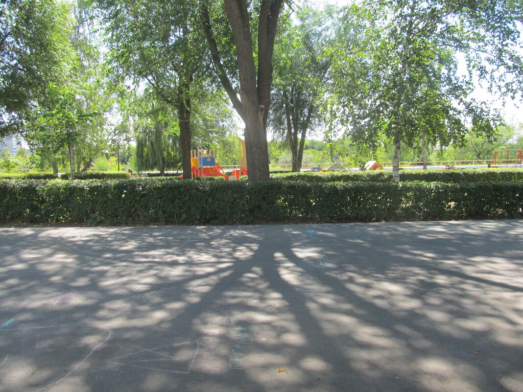 июльский полдень - Елена Шаламова