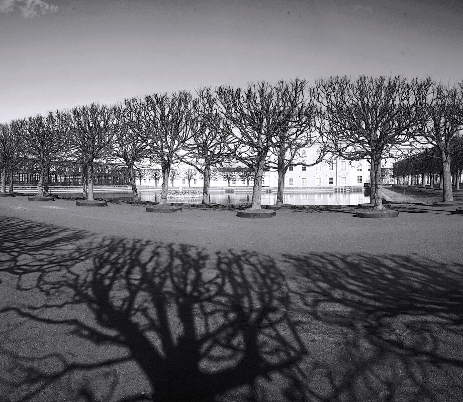 *** - Сергей Григорьев