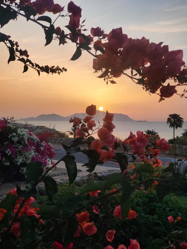 Египет. Медленно солнце садилось - Ирэн 