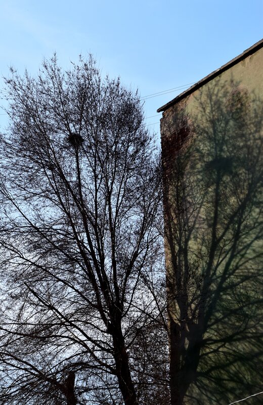 *** - Павленко Михаил 