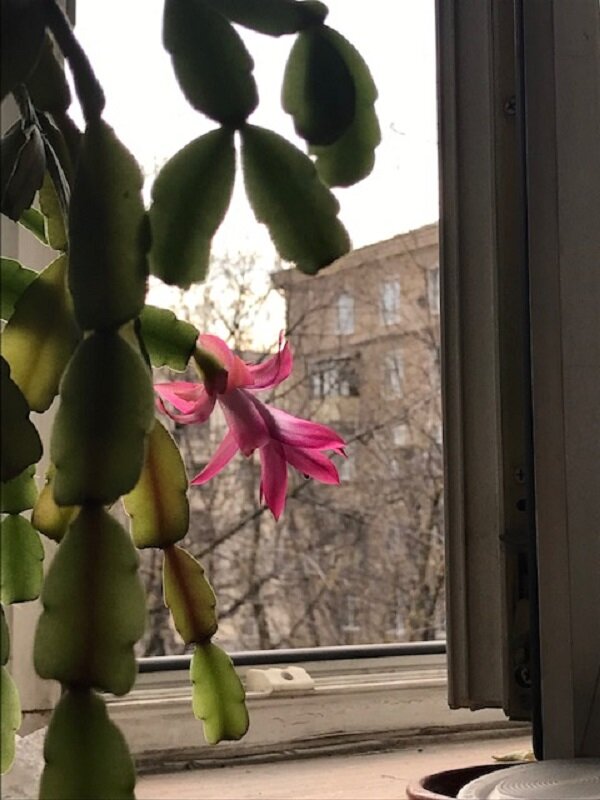 Прощание с зимой - Татьяна Юрасова