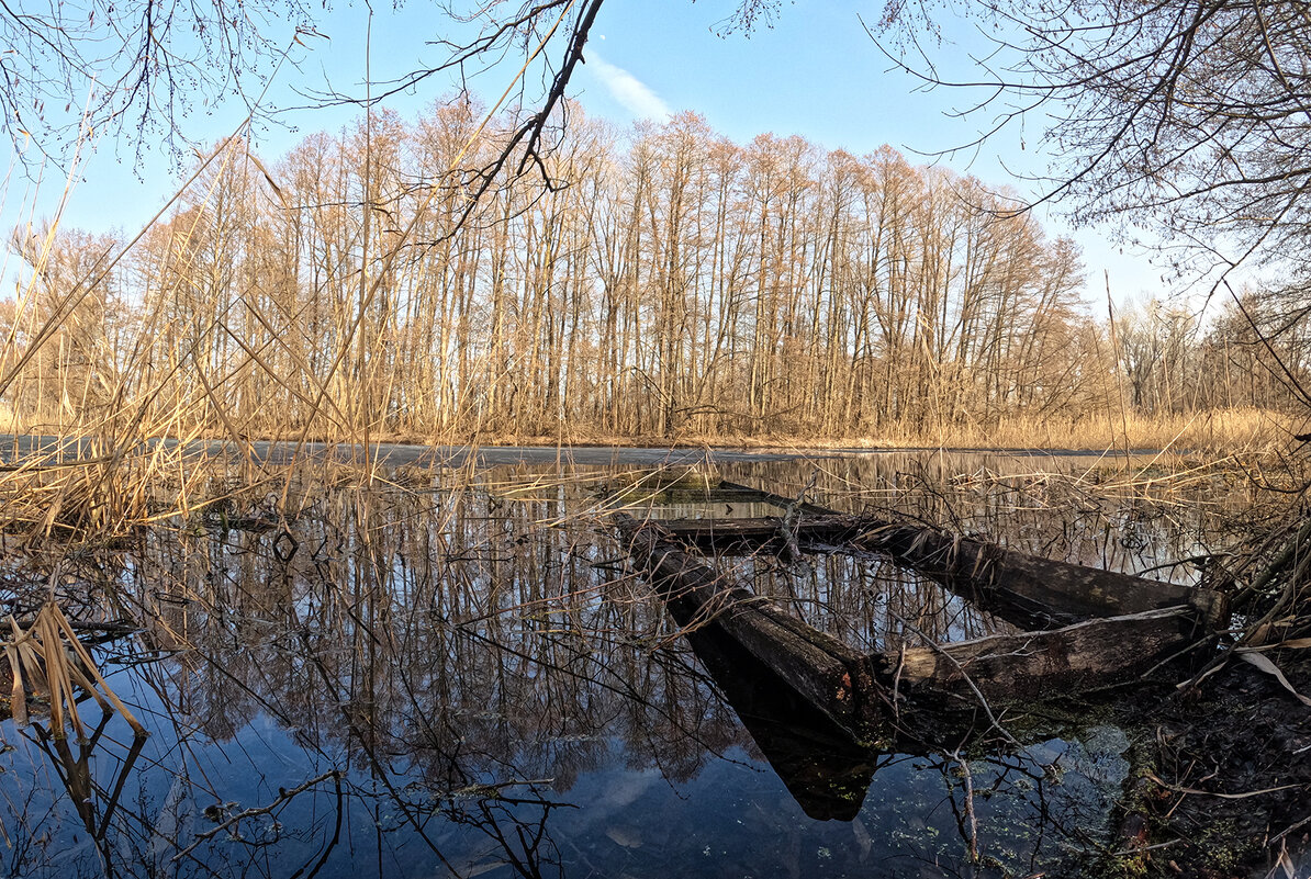 Весна - Pavel Bamboleo