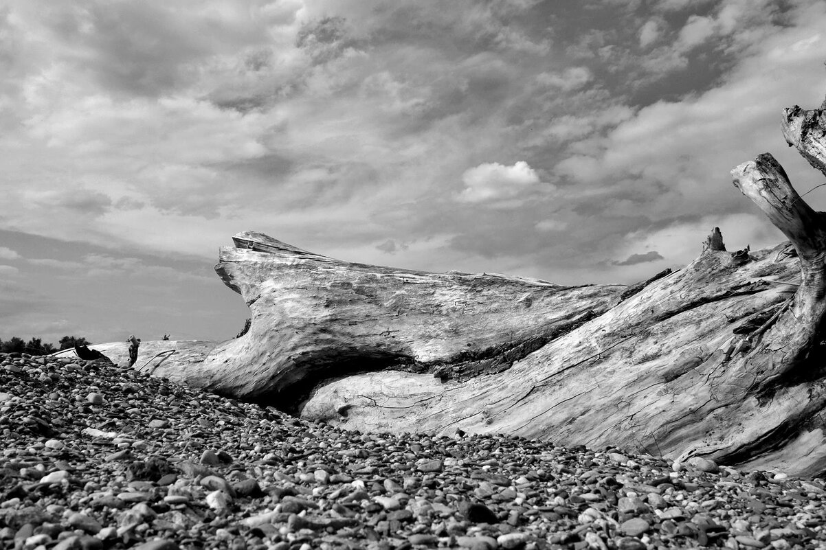 "сфинкс" - Aндрей Антонов