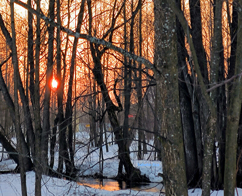 Закат в марте - Елена 