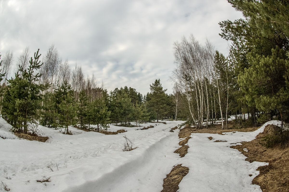 Намек на весну. - Николай 
