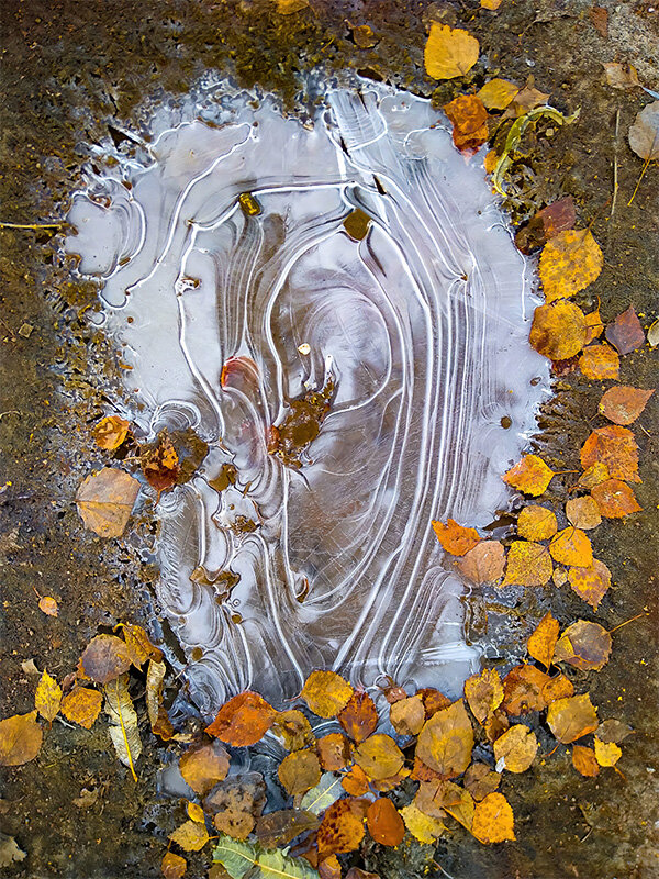 Октябрьская лужа - Александр Лебедев