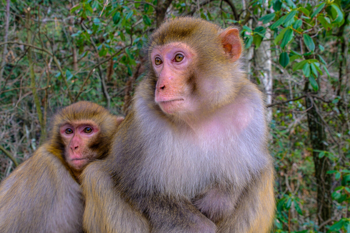 Греются друг другу - Георгий А