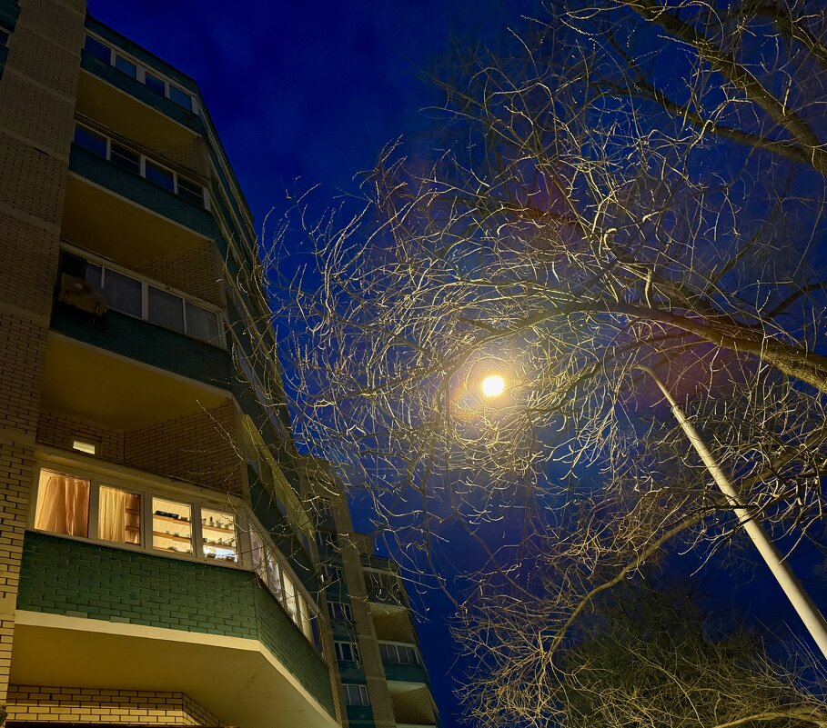 Вечерний светоч - Любовь 