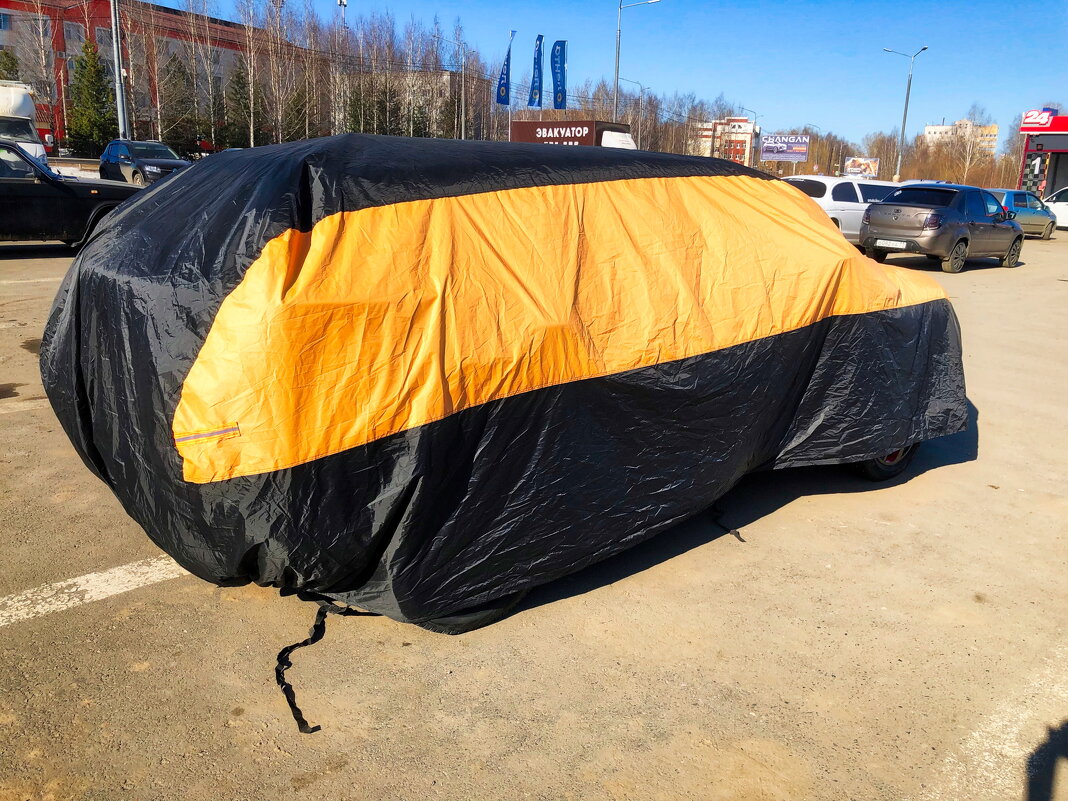 Фотография - Денис Безногов