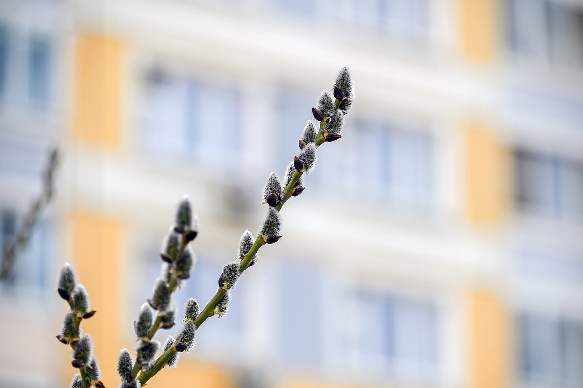 Весна в городе - Валерий Иванович