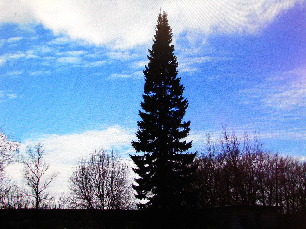Красивый денёк - Людмила Смородинская