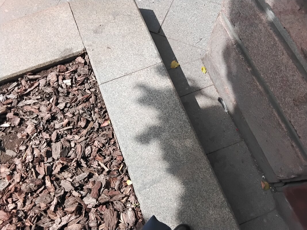 Тень - Дмитрий Никитин