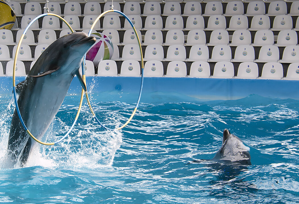 Учись пока я жив! - Alexandеr P