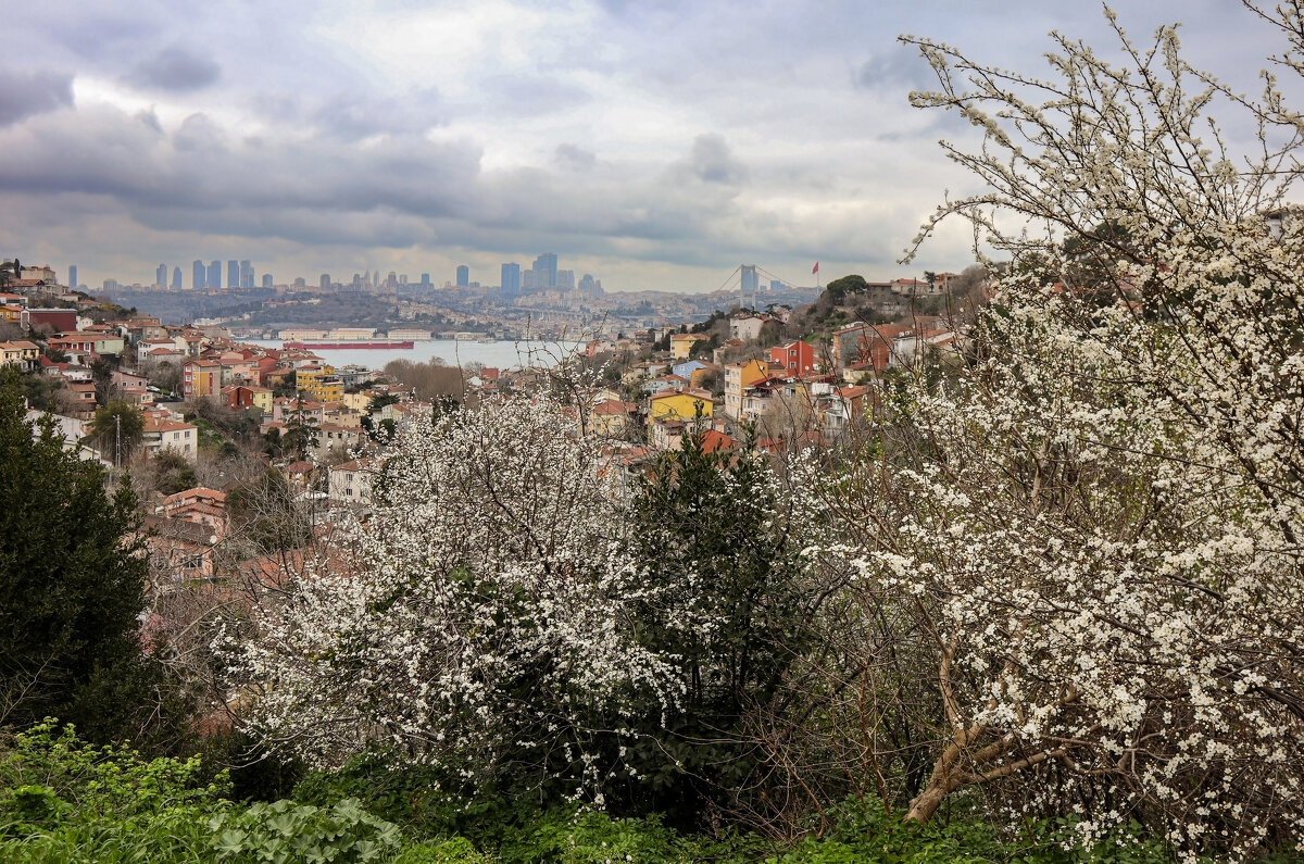 Кузгунджук - skijumper Иванов Кузгунджук - skijumper Иванов