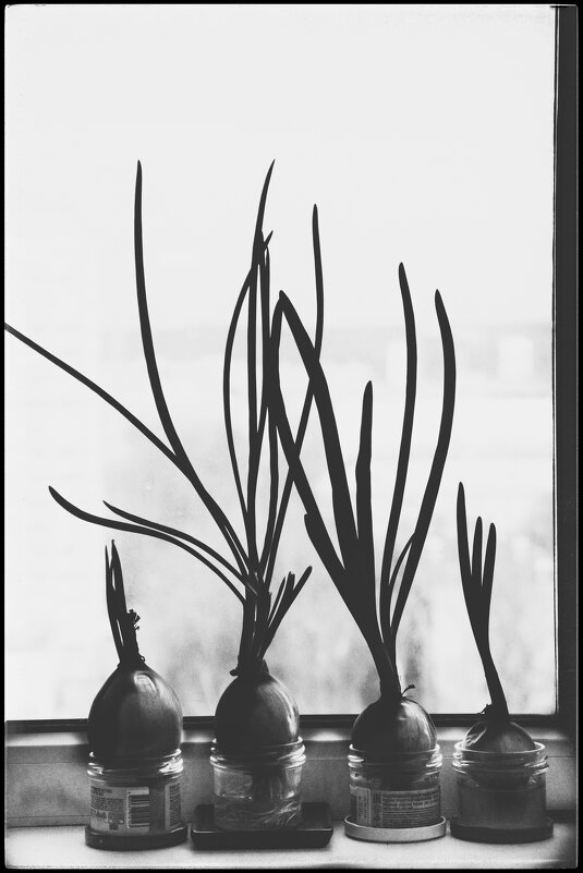 . . . - Руслан . . . - Руслан