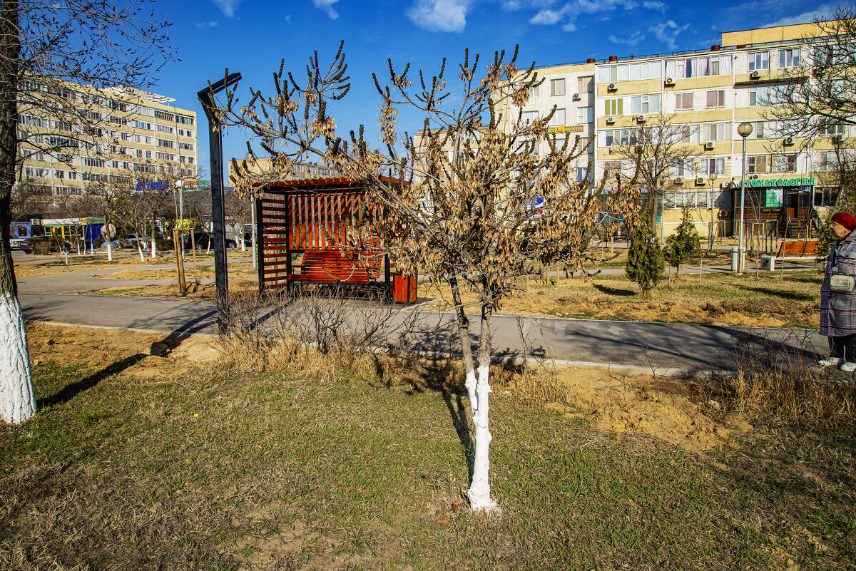 Беседка - Анатолий Чикчирный