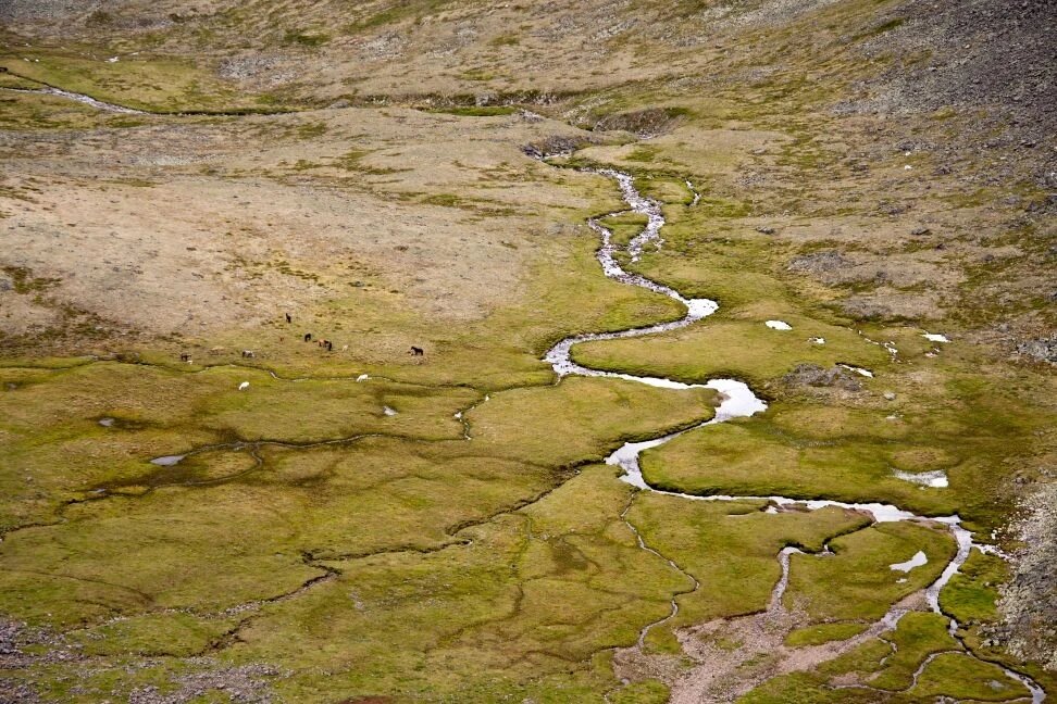 Долина - Виктор Фоменко