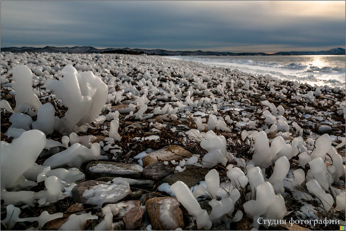 Обледенелые на берегу - Студия фотографии