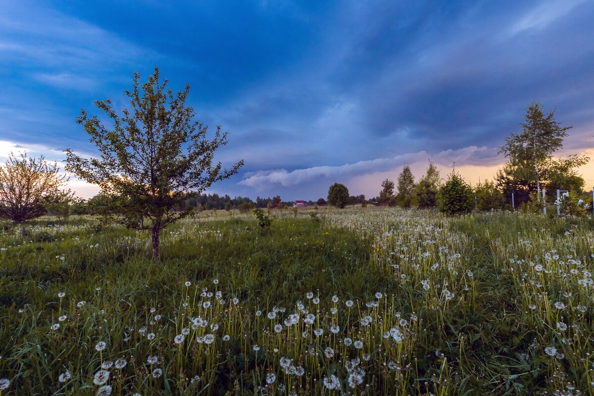 Предгрозовой вечер - Crazy Bee