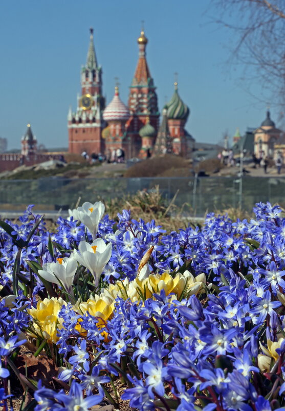 Зарядье 29 марта - Михаил Бибичков