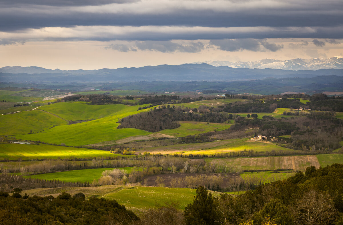Панорама - Алекс Римский Панорама - Алекс Римский