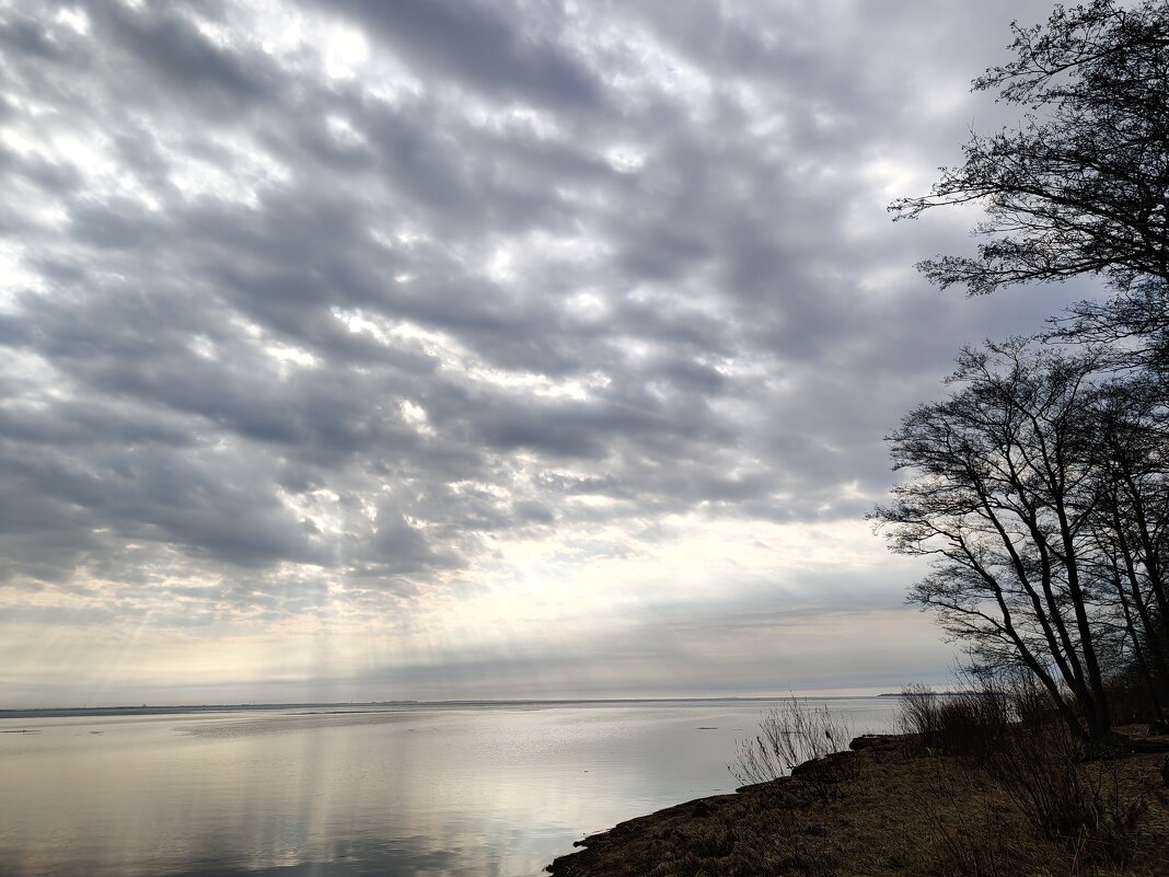 Балтийское - Андрей Балтийское - Андрей