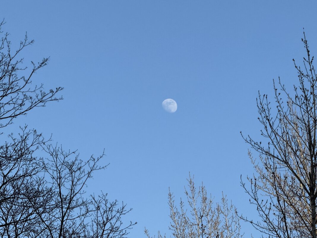 В наши ворота летит мяч ) - Анна Камс В наши ворота летит мяч ) - Анна Камс