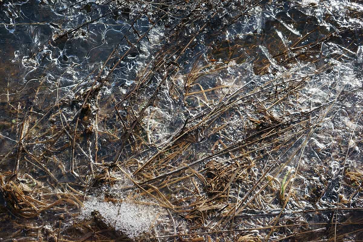 Весенний сюжет - Сергей Курников Весенний сюжет - Сергей Курников