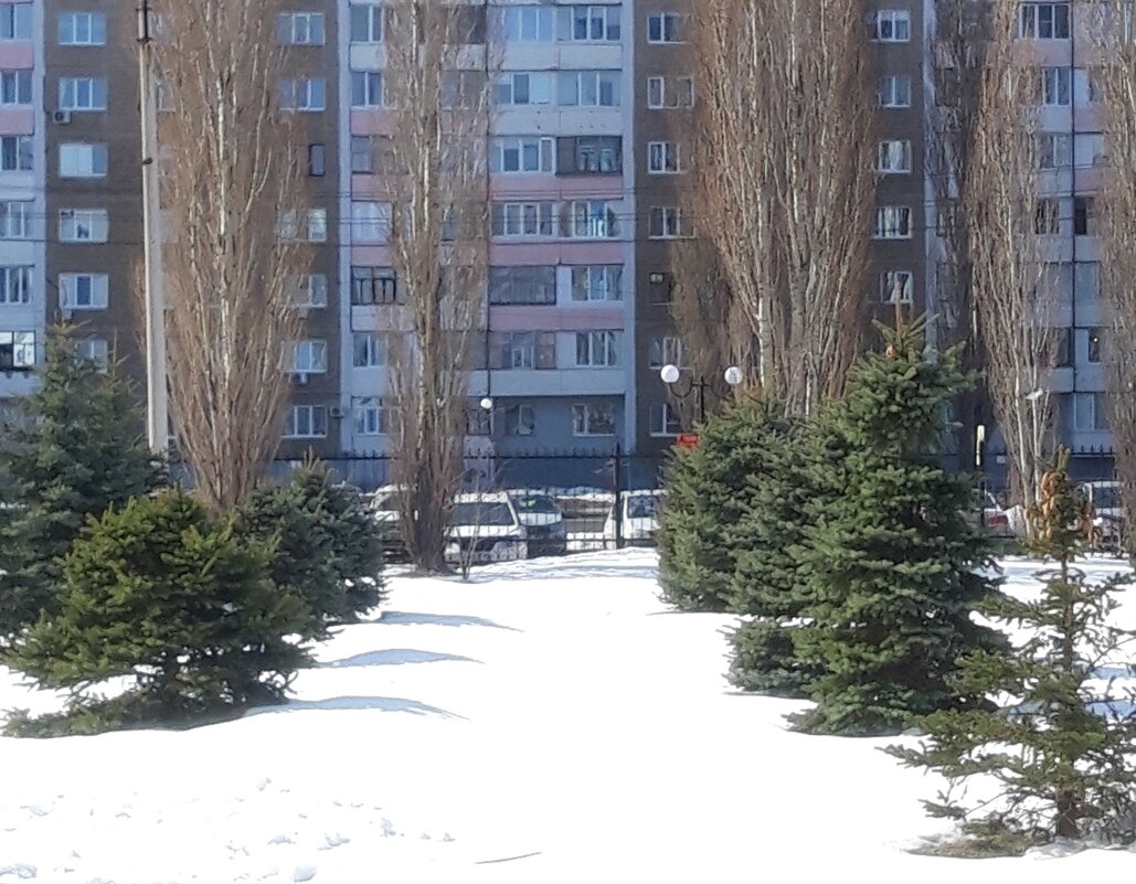 Конец марта - Венера Чуйкова